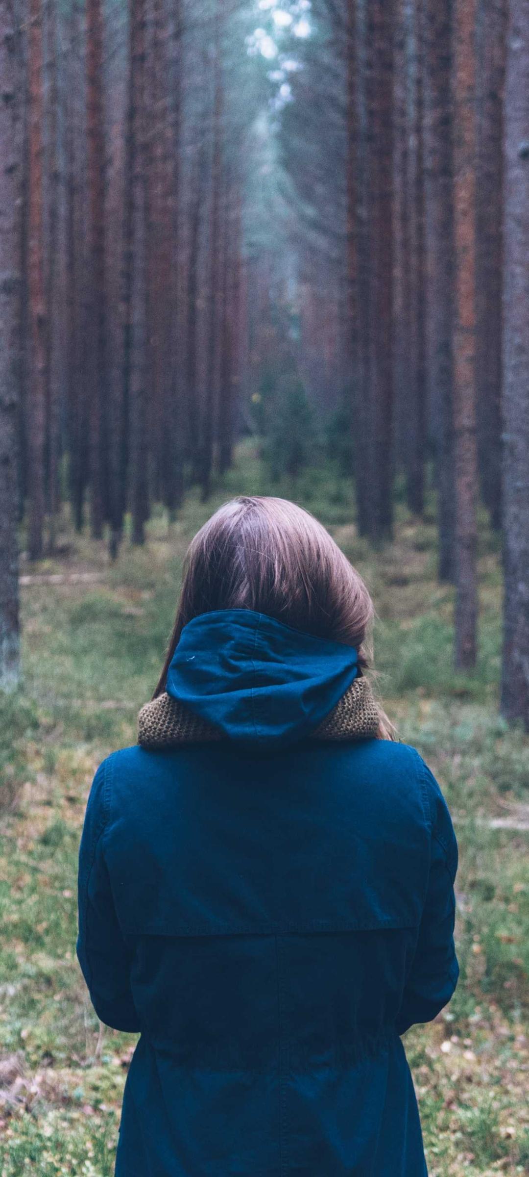 花卉壁纸 - 花卉高清手机壁纸
