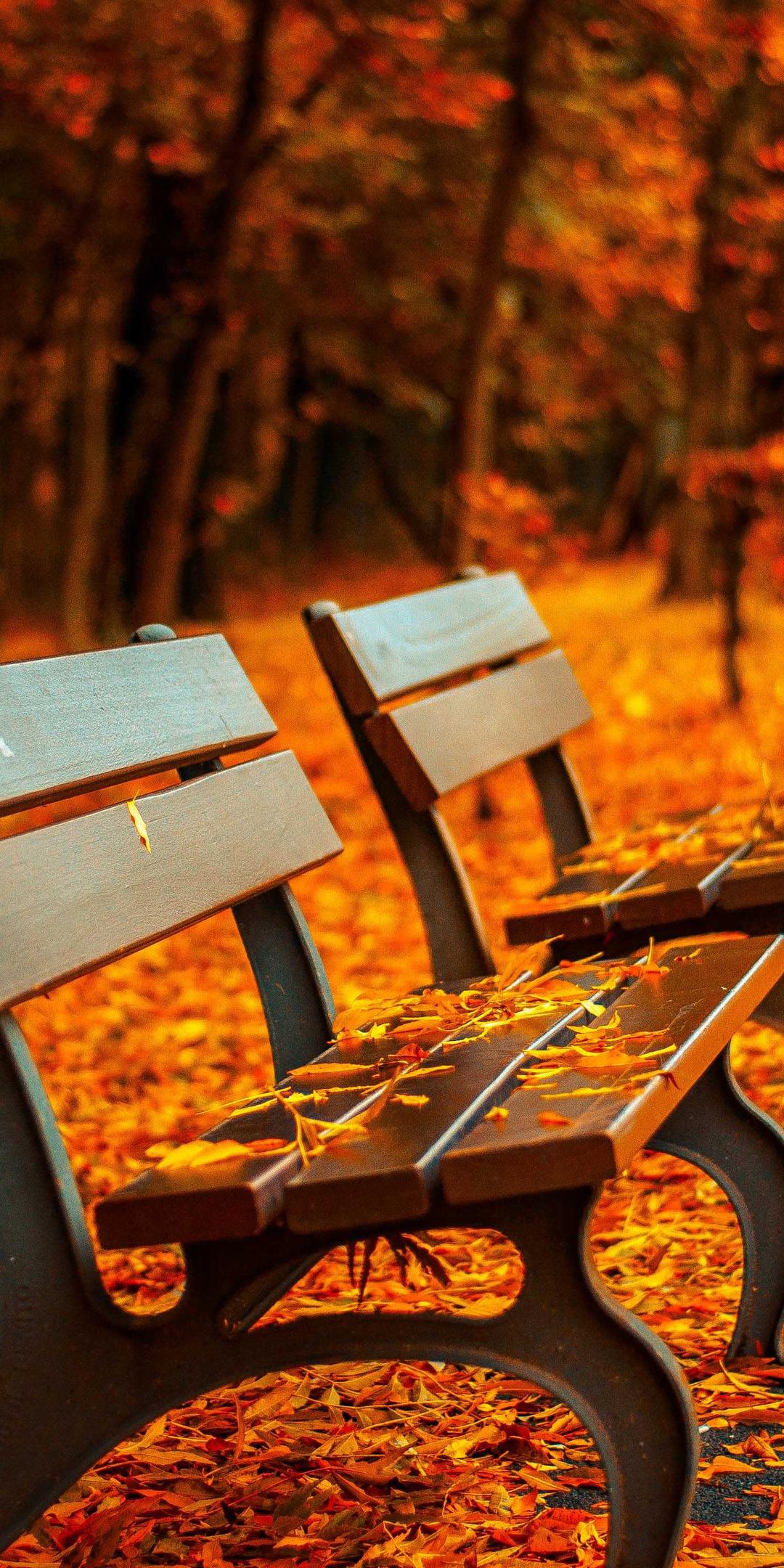 壁纸 - 极简高清手机壁纸