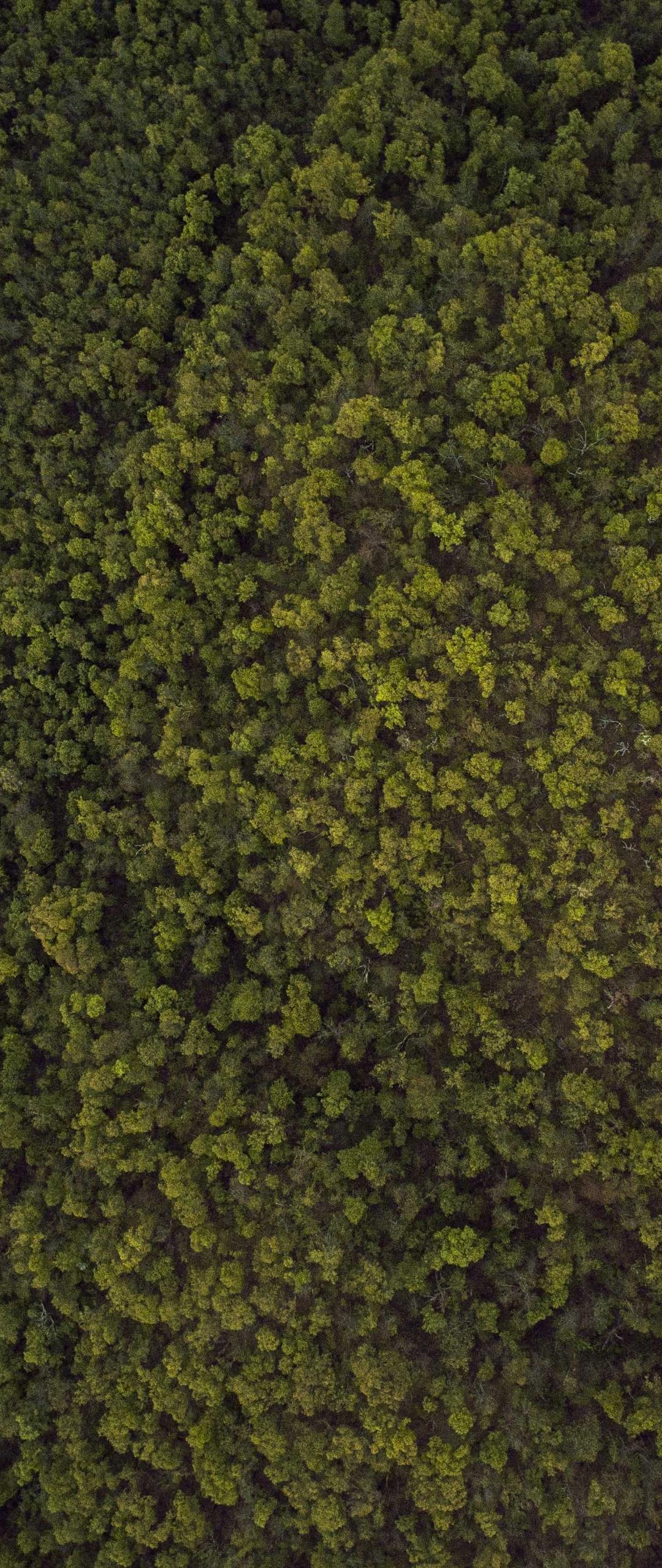 壁纸 - 自然高清手机壁纸