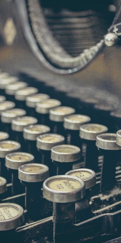 动物壁纸