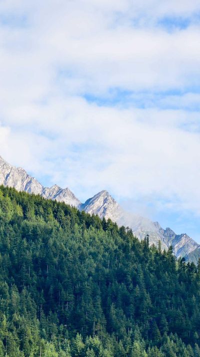 动漫壁纸