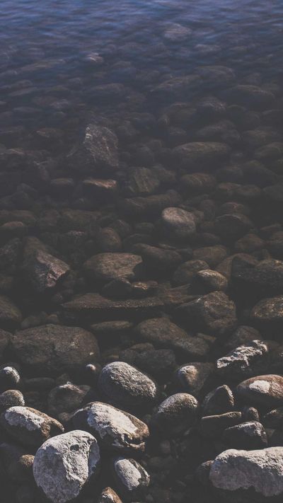 风景壁纸
