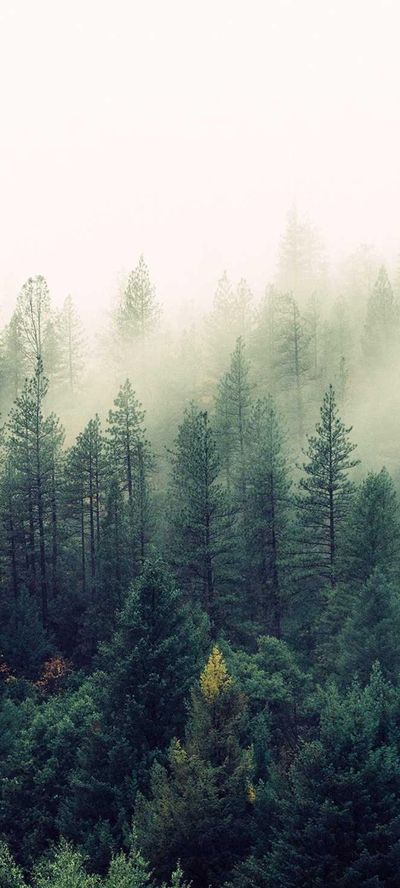 渐变壁纸