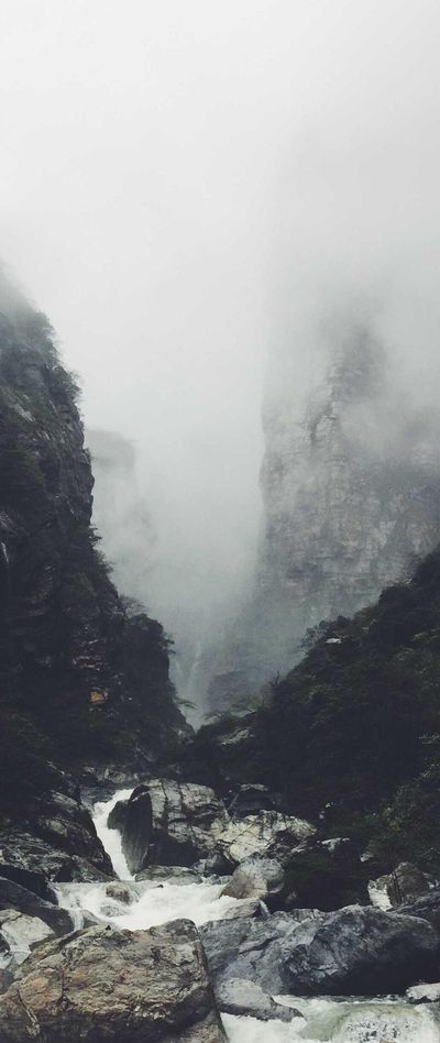 自然壁纸