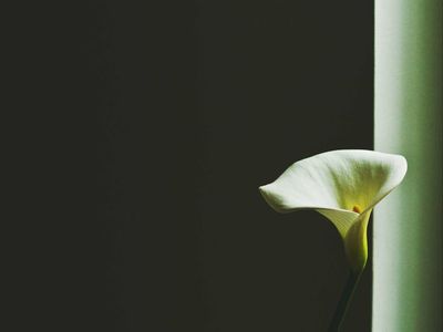 横屏壁纸