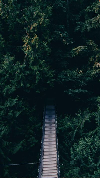 暗黑壁纸