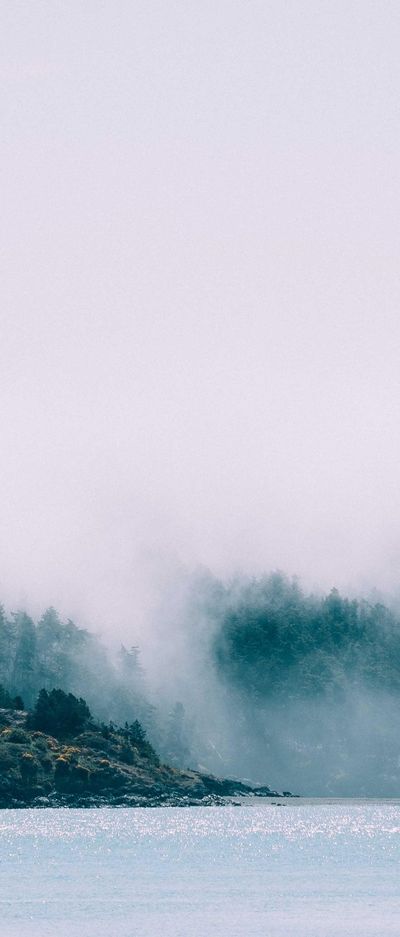 自然壁纸