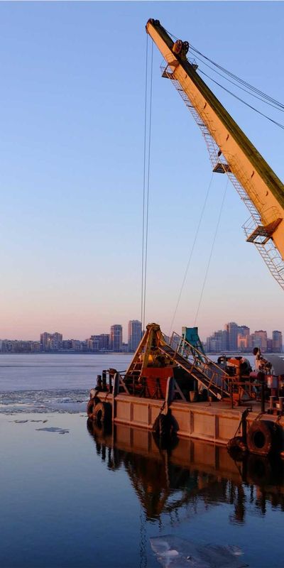 动物壁纸