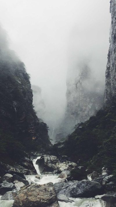 节日壁纸