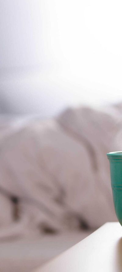 动物壁纸