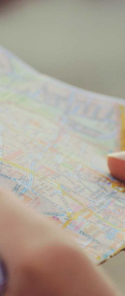 花卉壁纸
