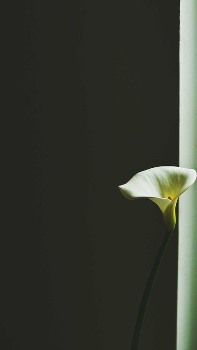 极简壁纸