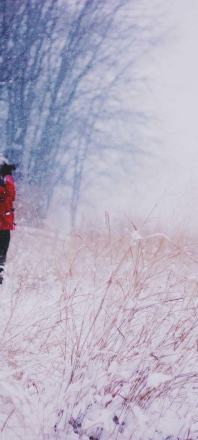 动漫壁纸