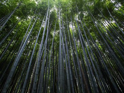 横屏壁纸