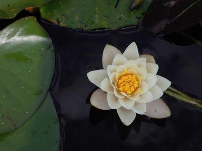 横屏壁纸