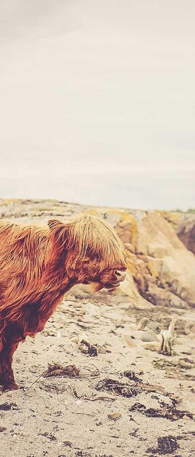 极简壁纸