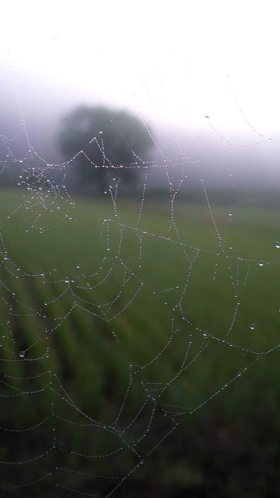 星空壁纸