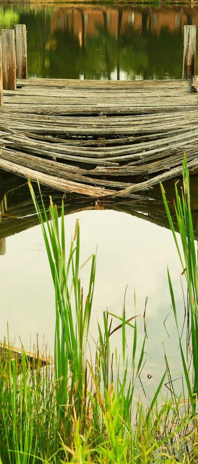 美食壁纸