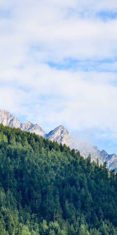 美食壁纸