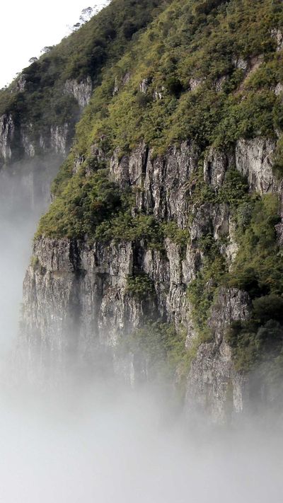 风景壁纸