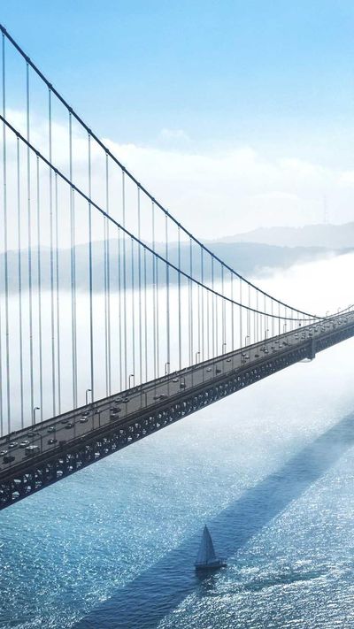 动物壁纸