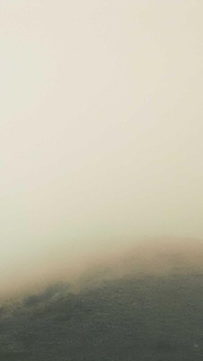 美食壁纸