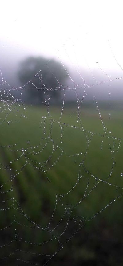 暗黑壁纸