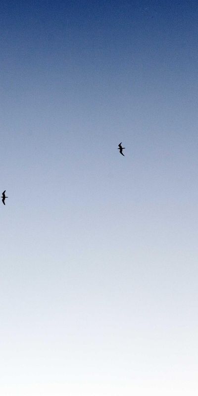 风景壁纸