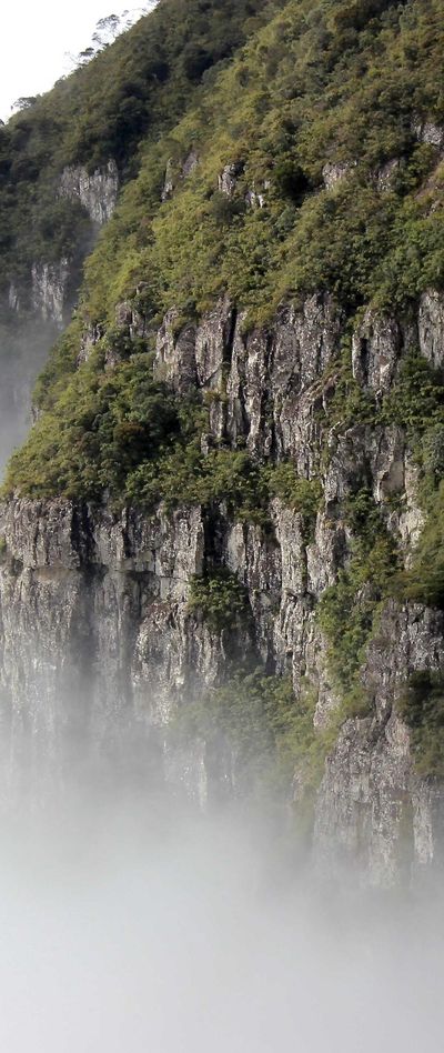 自然壁纸