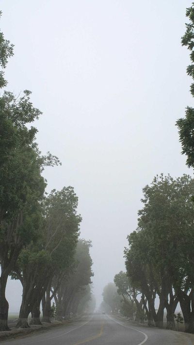 暗黑壁纸