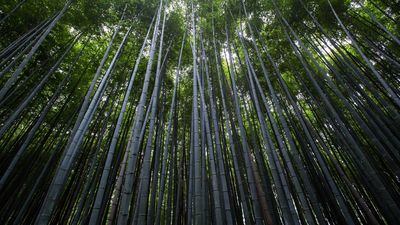 横屏壁纸