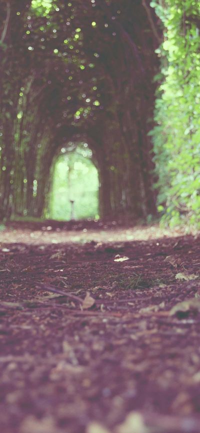 极简壁纸