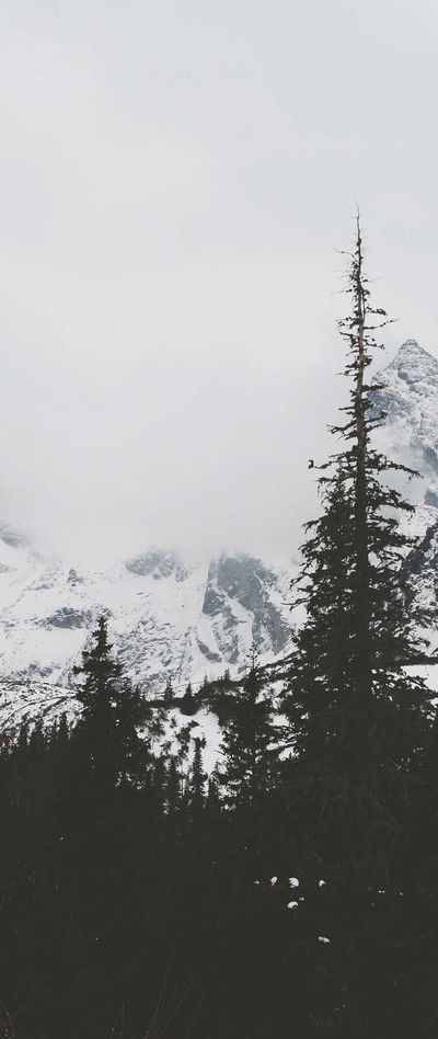 美女壁纸