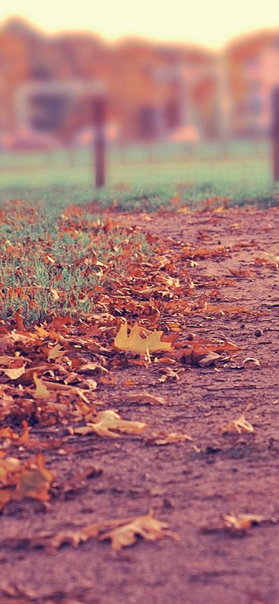 暗黑壁纸