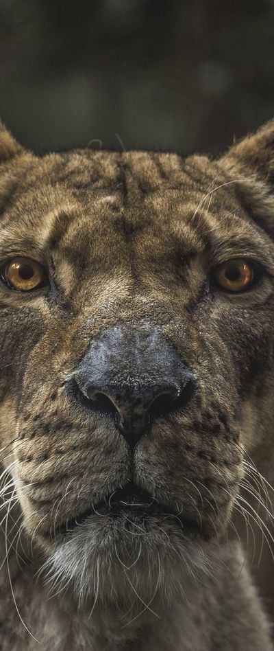 星空壁纸