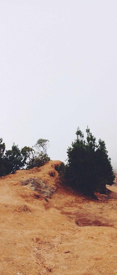 暗黑壁纸
