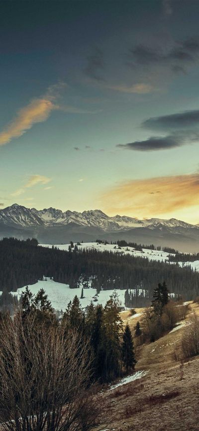 动漫壁纸