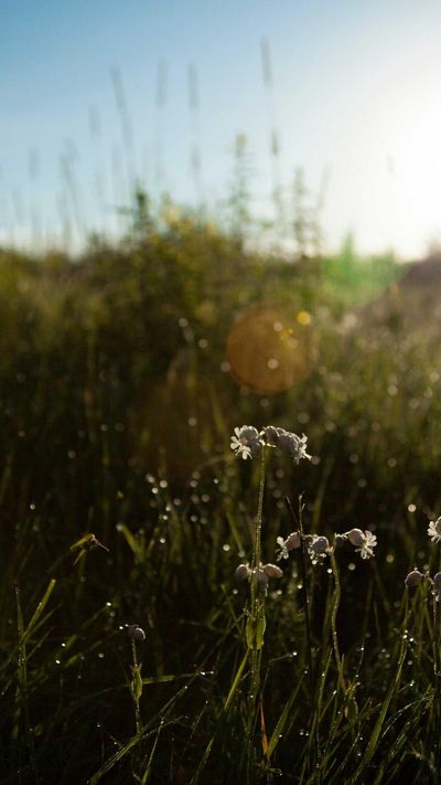 渐变壁纸