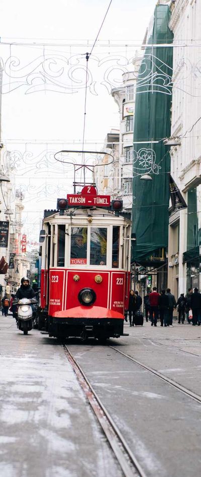 动物壁纸