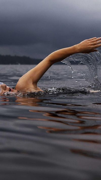 动物壁纸