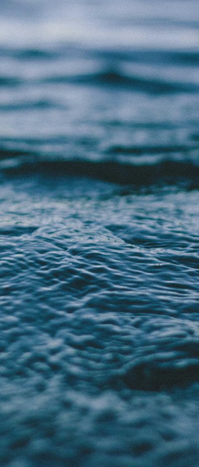 美女壁纸