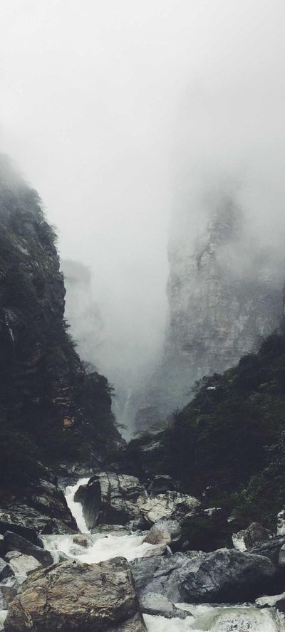 自然壁纸