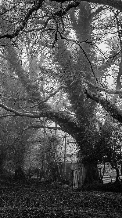 城市壁纸
