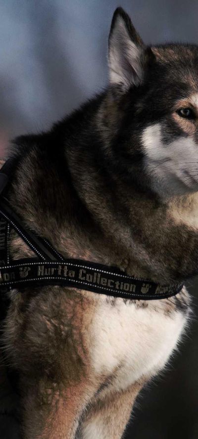 极简壁纸
