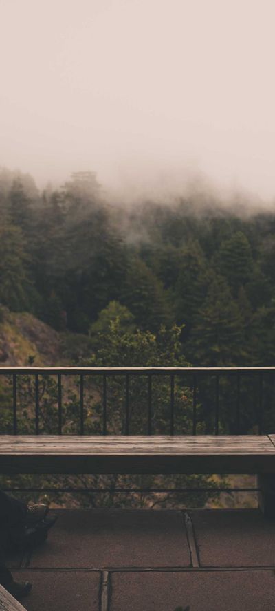 动物壁纸