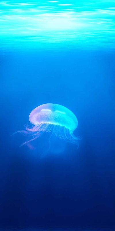 渐变壁纸