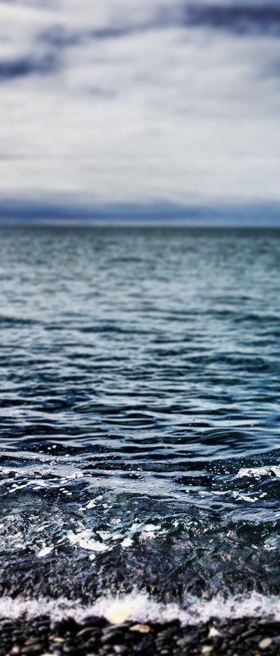 美女壁纸