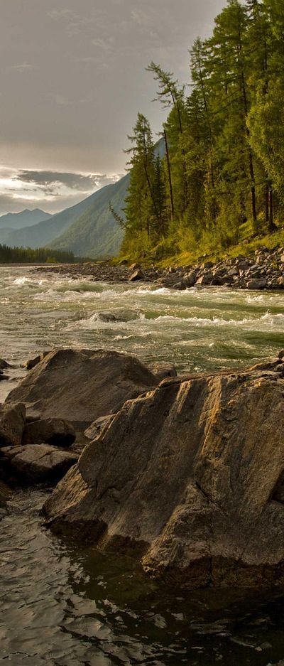 美女壁纸