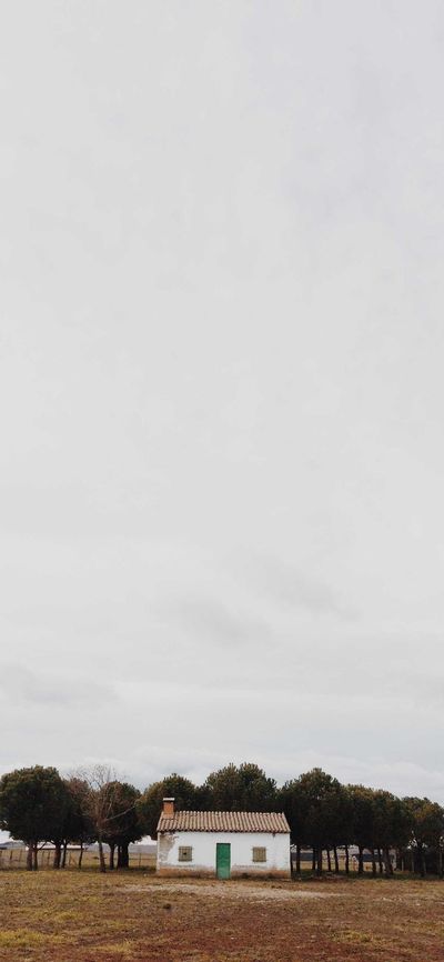 星空壁纸