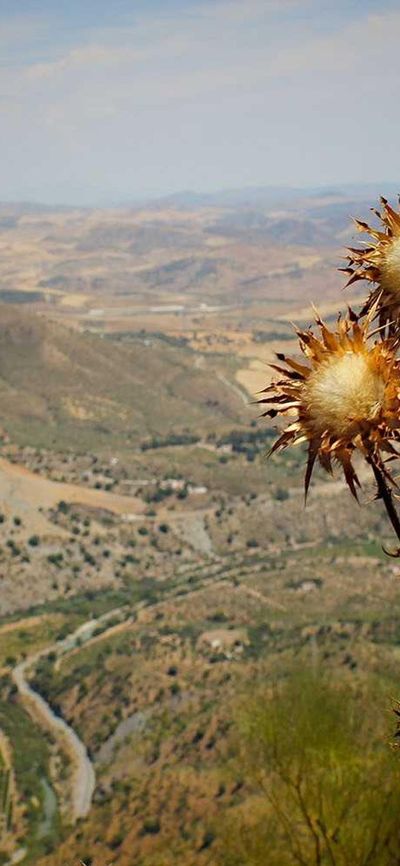 渐变壁纸